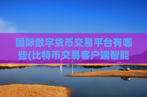 国际数字货币交易平台有哪些(比特币交易客户端智能高效)