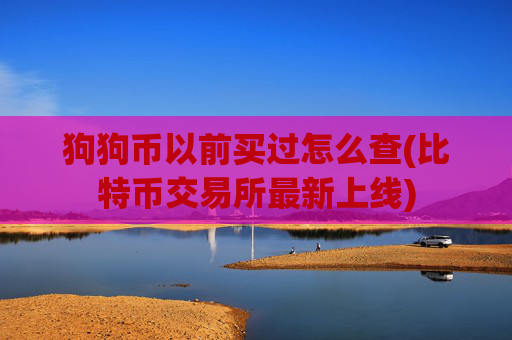 狗狗币以前买过怎么查(比特币交易所最新上线)