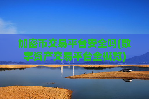 加密币交易平台安全吗(数字资产交易平台全概览)