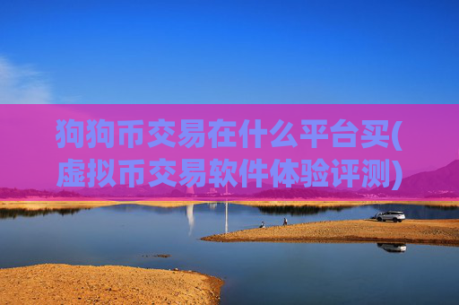 狗狗币交易在什么平台买(虚拟币交易软件体验评测)