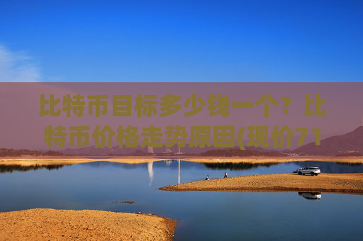 比特币目标多少钱一个?比特币价格走势原因(现价719977.92元)