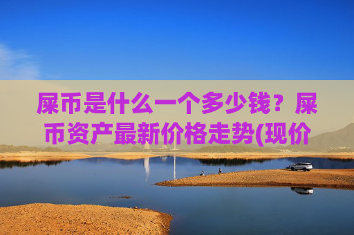 屎币是什么一个多少钱？屎币资产最新价格走势(现价0.0001588元)