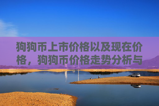 狗狗币上市价格以及现在价格,狗狗币价格走势分析与比较