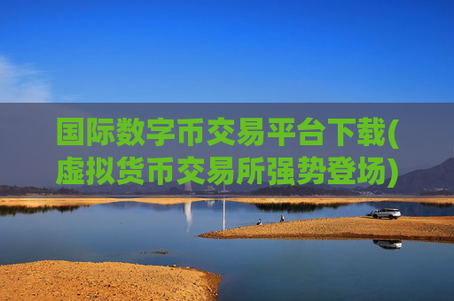 国际数字币交易平台下载(虚拟货币交易所强势登场)
