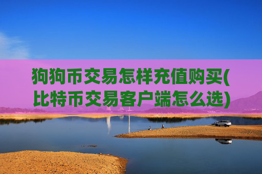 狗狗币交易怎样充值购买(比特币交易客户端怎么选)