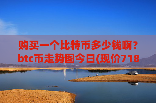 购买一个比特币多少钱啊?btc币走势图今日(现价718636.7元)