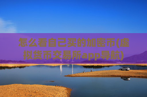 怎么看自己买的加密币(虚拟货币交易所app导航)