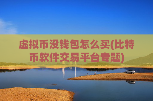 虚拟币没钱包怎么买(比特币软件交易平台专题)