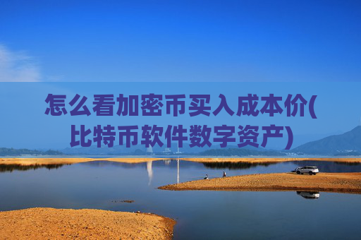 怎么看加密币买入成本价(比特币软件数字资产)