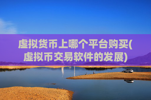 虚拟货币上哪个平台购买(虚拟币交易软件的发展)