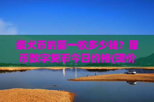 柴犬币的第一枚多少钱？屎币数字货币今日价格(现价0.00022514元)
