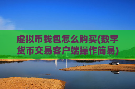 虚拟币钱包怎么购买(数字货币交易客户端操作简易)