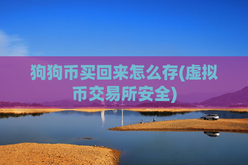 狗狗币买回来怎么存(虚拟币交易所安全)