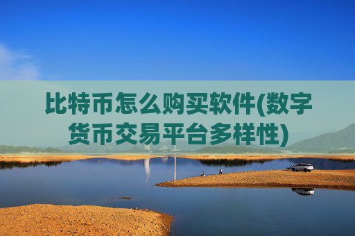 比特币怎么购买软件(数字货币交易平台多样性)