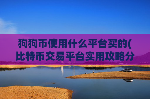 狗狗币使用什么平台买的(比特币交易平台实用攻略分享)