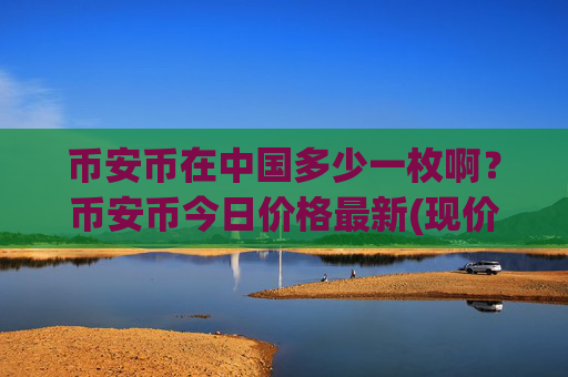 币安币在中国多少一枚啊?币安币今日价格最新(现价5134.86元)