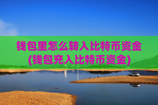 钱包里怎么转入比特币资金(钱包充入比特币资金)
