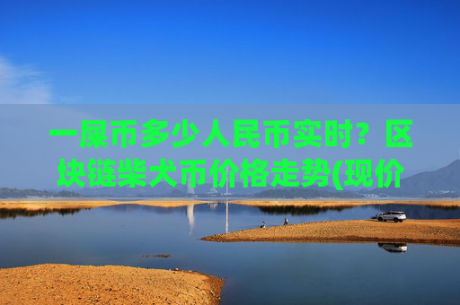 一屎币多少人民币实时?区块链柴犬币价格走势(现价0.00022238元)
