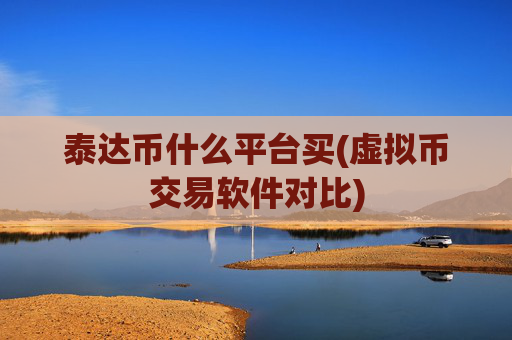 泰达币什么平台买(虚拟币交易软件对比)