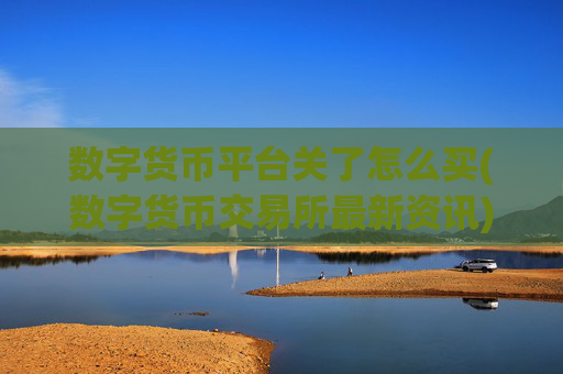 数字货币平台关了怎么买(数字货币交易所最新资讯)