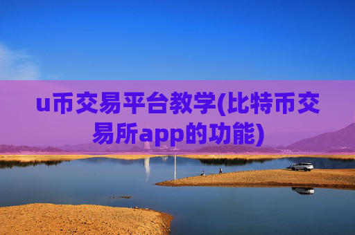 u币交易平台教学(比特币交易所app的功能)