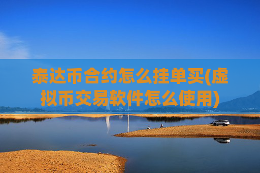 泰达币合约怎么挂单买(虚拟币交易软件怎么使用)