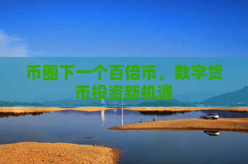 币圈下一个百倍币,数字货币投资新机遇