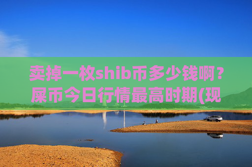 卖掉一枚shib币多少钱啊?屎币今日行情最高时期(现价0.00021912元)