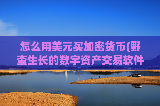 怎么用美元买加密货币(野蛮生长的数字资产交易软件)