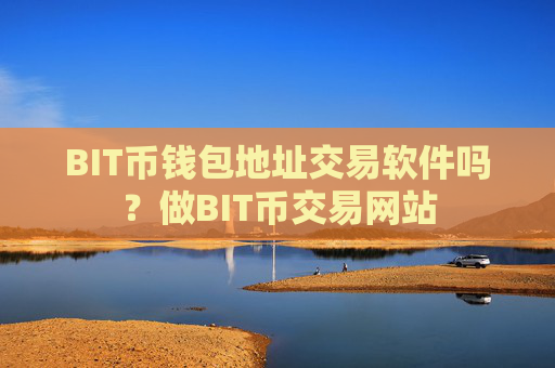 BIT币钱包地址交易软件吗?做BIT币交易网站