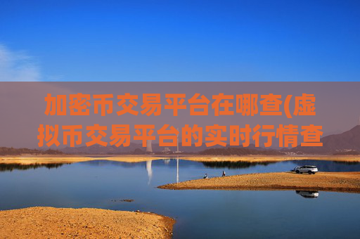 加密币交易平台在哪查(虚拟币交易平台的实时行情查看)