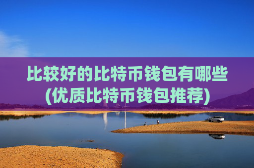 比较好的比特币钱包有哪些(优质比特币钱包推荐)
