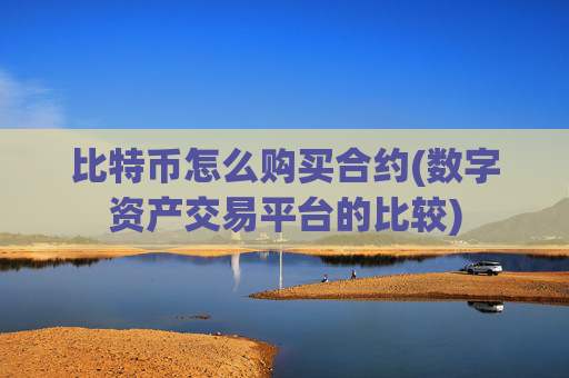 比特币怎么购买合约(数字资产交易平台的比较)