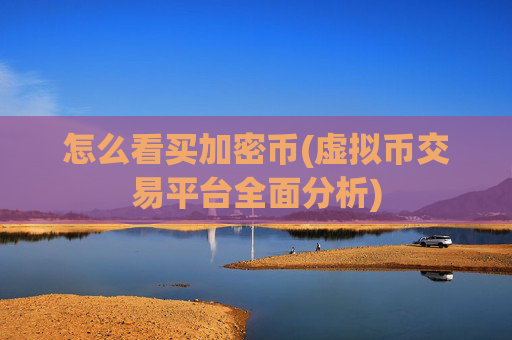 怎么看买加密币(虚拟币交易平台全面分析)