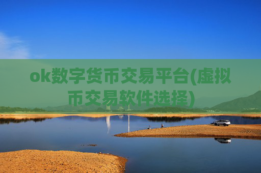ok数字货币交易平台(虚拟币交易软件选择)