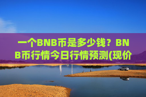 一个BNB币是多少钱?BNB币行情今日行情预测(现价5270.25元)