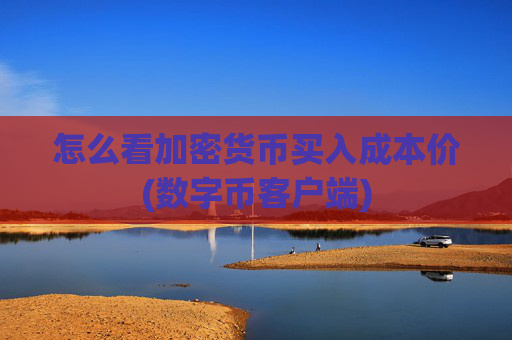 怎么看加密货币买入成本价(数字币客户端)