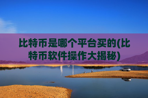 比特币是哪个平台买的(比特币软件操作大揭秘)