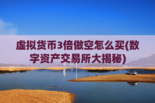 虚拟货币3倍做空怎么买(数字资产交易所大揭秘)