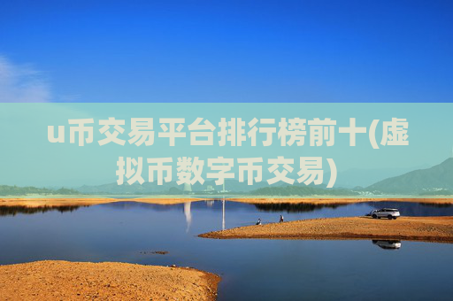 u币交易平台排行榜前十(虚拟币数字币交易)