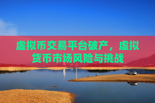 虚拟币交易平台破产,虚拟货币市场风险与挑战