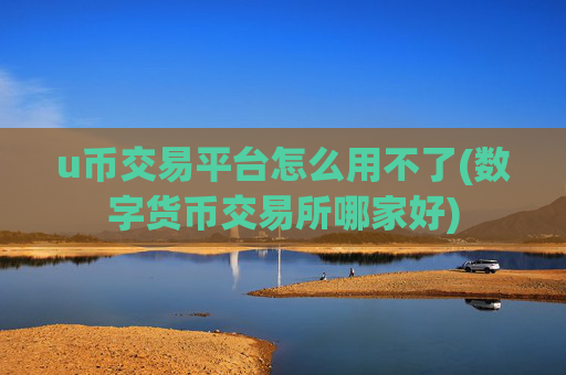u币交易平台怎么用不了(数字货币交易所哪家好)