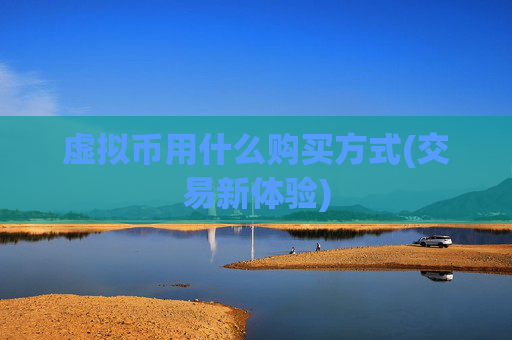 虚拟币用什么购买方式(交易新体验)