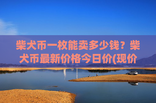 柴犬币一枚能卖多少钱?柴犬币最新价格今日价(现价0.00021846元)