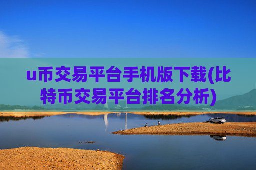 u币交易平台手机版下载(比特币交易平台排名分析)