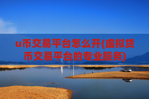 u币交易平台怎么开(虚拟货币交易平台的专业服务)