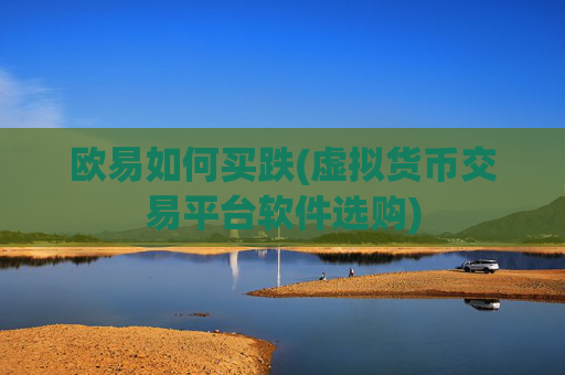 欧易如何买跌(虚拟货币交易平台软件选购)