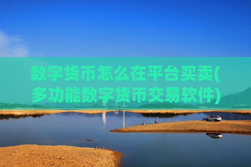 数字货币怎么在平台买卖(多功能数字货币交易软件)