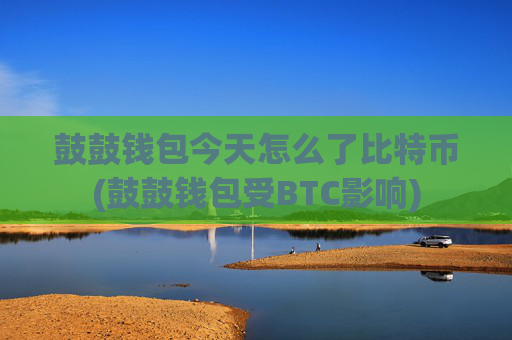 鼓鼓钱包今天怎么了比特币(鼓鼓钱包受BTC影响)