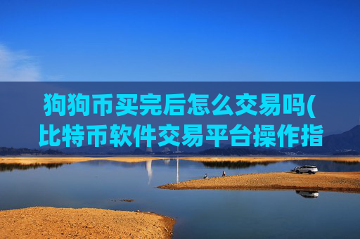 狗狗币买完后怎么交易吗(比特币软件交易平台操作指南)